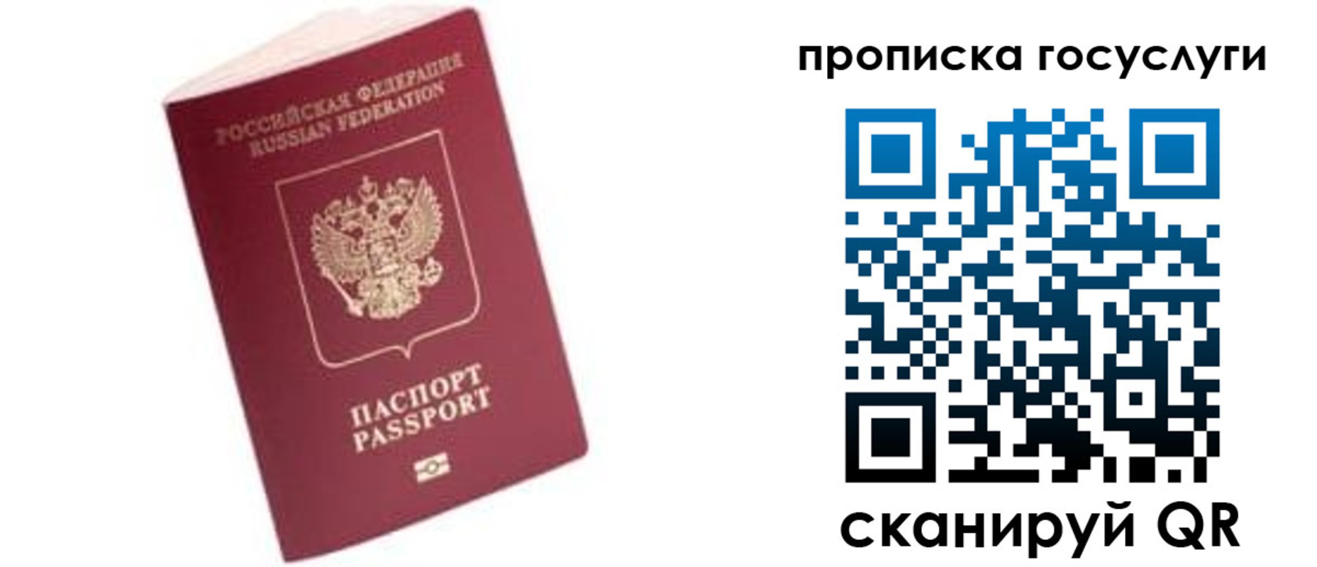 прописка в Пушкино